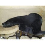 Пильник моторного відсіку передня права частина для Nissan Patrol Y60 (1987-1997) - Зображення 8