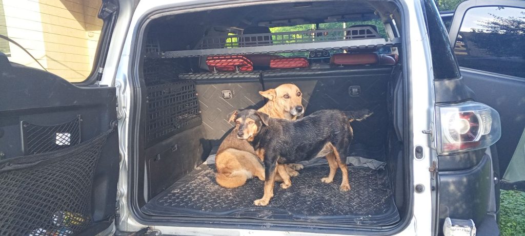 Полиця під стелю в багажник для Toyota FJ Cruiser