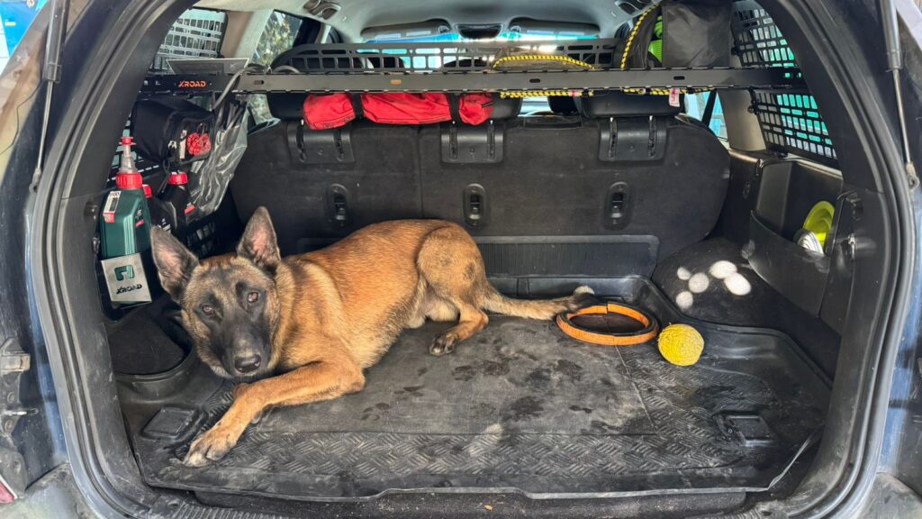 Полиця в багажник Jeep Patriot (2007-2017)