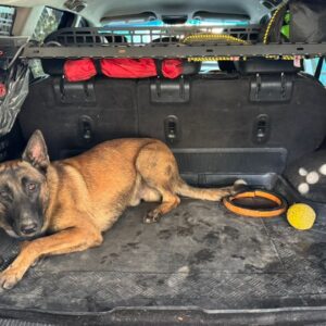 Полиця в багажник Jeep Patriot (2007-2017)