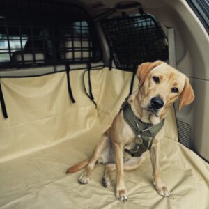 Перегородка багажника KIA Sorento BL (2002-2009)