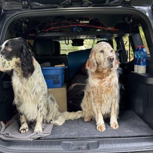 Полиця під стелю в багажник Toyota Land Cruiser Prado 250 / Lexus GX550